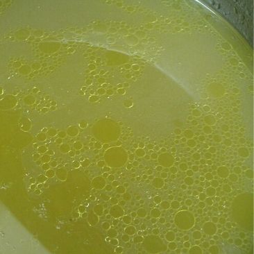 Chicken Stock